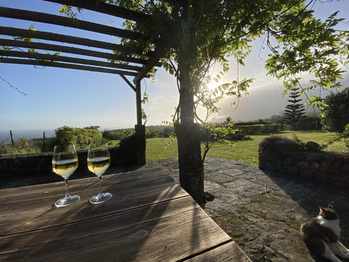 Vila Quinta Perpetua, Casa Corvo Alto do Sul Exteriér fotografie